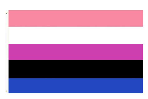 omnisexual flag meaning|What Is The Omnisexual Pride Flag, And What Does。